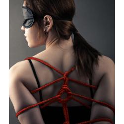 Fetish Dreams Bondage Rope 10m Red