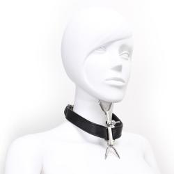 Adjustable Double Neck Collar with Pins