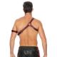 Gladiator Harness - One Size