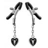 Charmed Heart Padlock Nipple Clamps