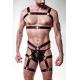 harness set by Grey Velvet
