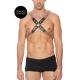 Chain and Chain Harness