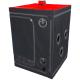 Scandale - Black Red