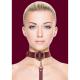 Luxurious Collar with Leash
