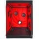 Scandale - Black Red