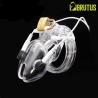 BRUTUS VOLT - Electro Chastity Cage Clear