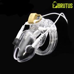 BRUTUS VOLT - Electro Chastity Cage Clear
