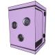 Scandale - Purple