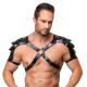 Men s Leather Harness S-L