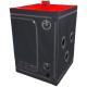 Scandale - Black Red