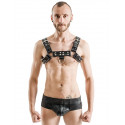 Harness