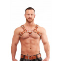 Harness