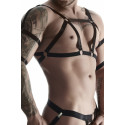 Harness